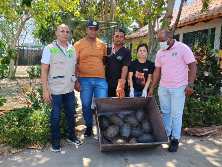 EN OPERATIVO CON EPA CARTAGENA Y POLICÍA AMBIENTAL SE CAPTURA A PERSONA COMERCIALIZANDO HICOTEAS ILEGALMENTE