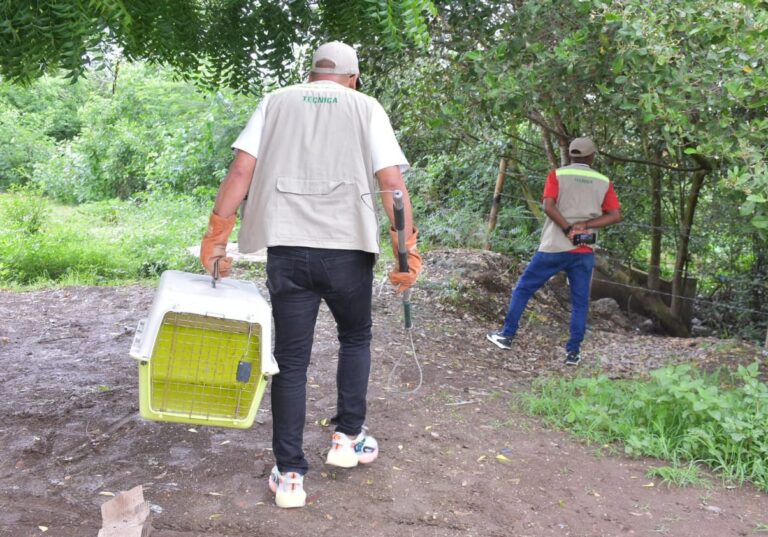 EPA CARTAGENA CONTINÚA CAMPAÑA POR EL RESCATE DE ANIMALES SILVESTRES