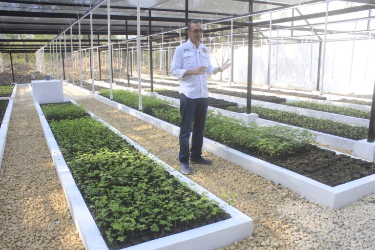 Qué buena noticia! Cartagena tiene el primer vivero bioclimático público de la ciudad