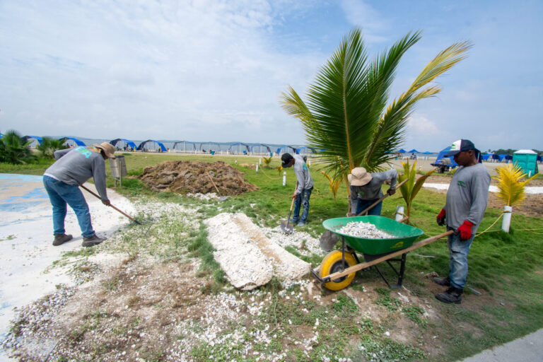 Durante el primer semestre del año, EPA Cartagena intervino varios sectores de la ciudad con siembra masiva de árboles y paisajismo.