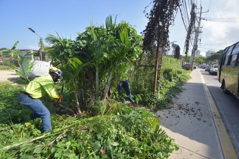 Jornada de Recuperación en el barrio Torices