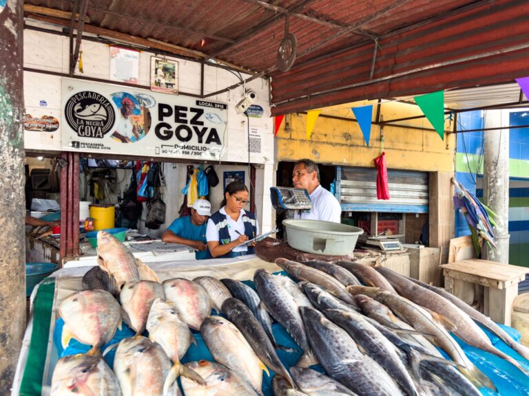 CONTROL Y VIGILANCIA EN EL MERCADO DE BAZURTO