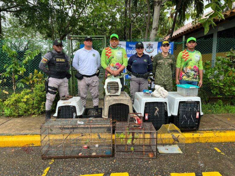 EPA Cartagena atendió 2.661 animales silvestres en el CAV durante el 2025