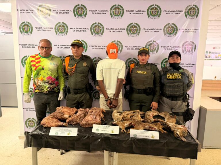 EPA Cartagena lideró operativo donde se incautaron 42,7 kilos de carne de animales silvestres