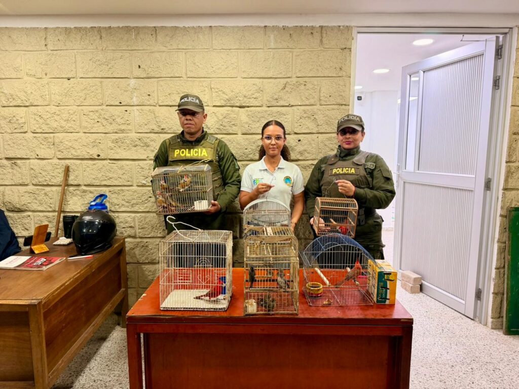 EPA Cartagena recibió 18 aves silvestres incautadas en el aeropuerto Rafael Núñez que iban a ser sacadas del país