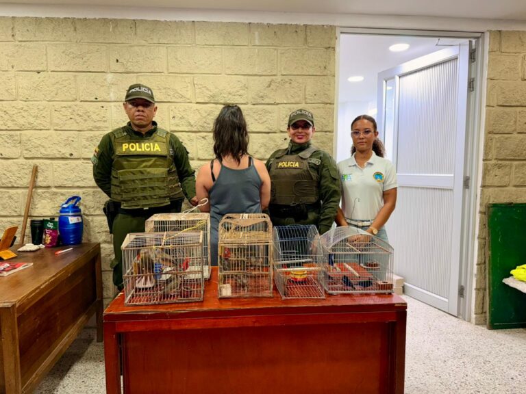 EPA Cartagena recibió 18 aves silvestres incautadas en el aeropuerto Rafael Núñez que iban a ser sacadas del país