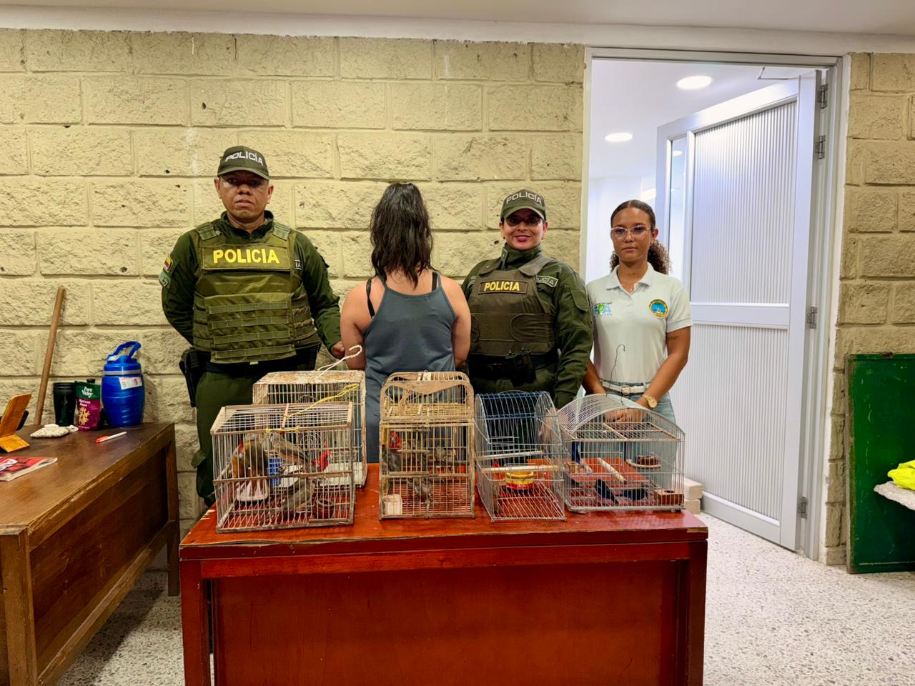 EPA Cartagena recibió 18 aves silvestres incautadas en el aeropuerto Rafael Núñez que iban a ser sacadas del país