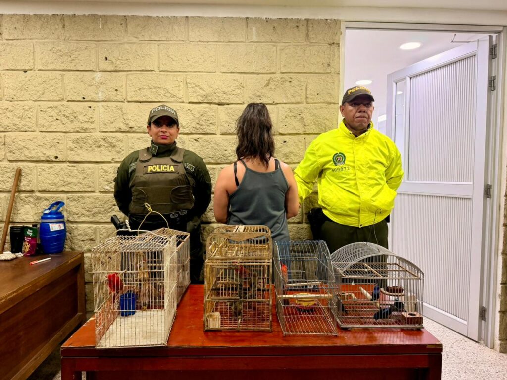 EPA Cartagena recibió 18 aves silvestres incautadas en el aeropuerto Rafael Núñez que iban a ser sacadas del país