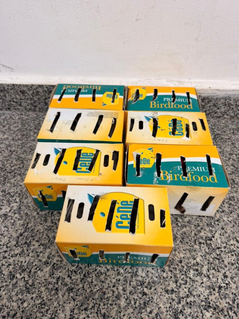 EPA Cartagena recibió 18 aves silvestres incautadas en el aeropuerto Rafael Núñez que iban a ser sacadas del país