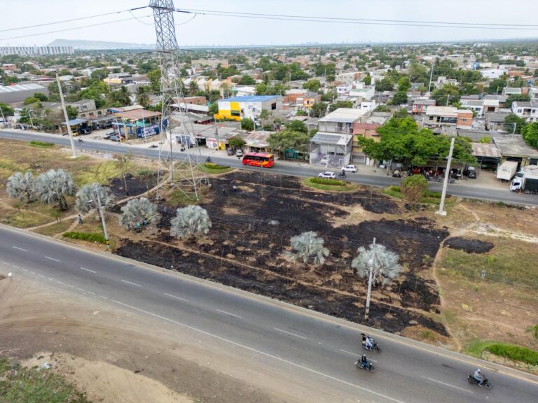 Alcaldía de Cartagena, a través del EPA, rechaza quema indiscriminada en siembra del separador vial de El Pozón