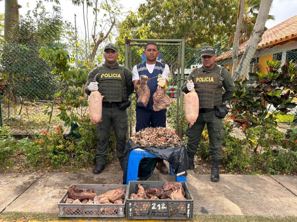 Incautan carne de hicotea y huevos de iguana en operativo liderado por EPA Cartagena