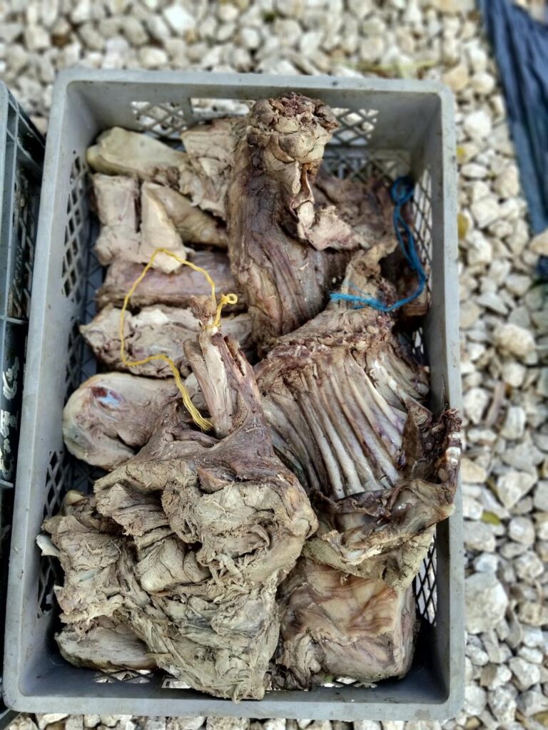 carne incautada en operativo liderado por EPA Cartagena