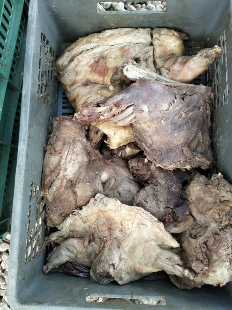 carne incautada en operativo liderado por EPA Cartagena