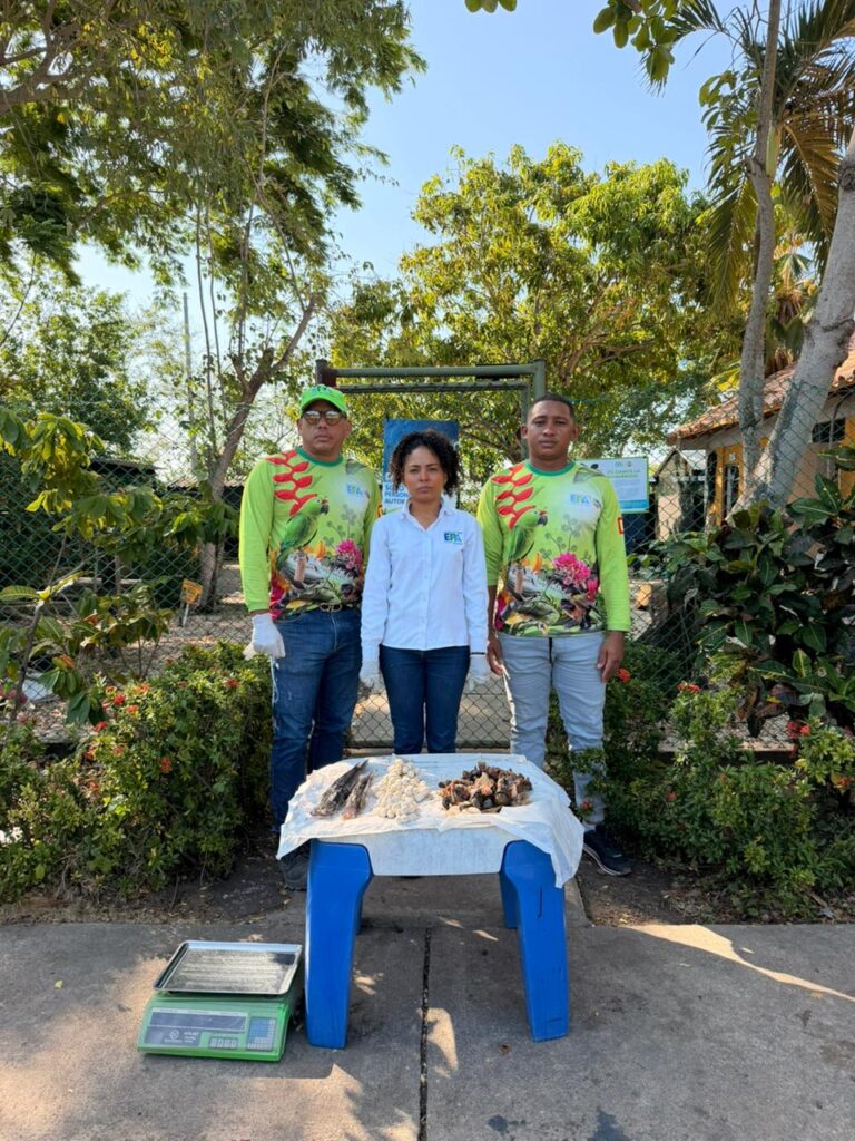 Incautan carne de hicotea y huevos de iguana en operativo liderado por EPA Cartagena