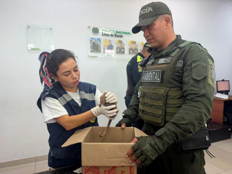 EPA Cartagena atendió de urgencia a dos monos cariblancos que iban a ser sacados ilegalmente del país