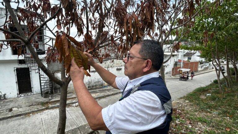 EPA Cartagena inicia investigación para determinar muerte de árboles en la Loma de Marión
